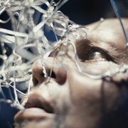 A Note From The WOMEX Film Curators