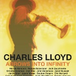 Arrows Into Infinity