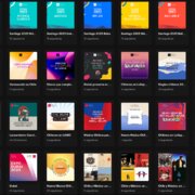 CHILEAN MUSIC PLAYLISTS