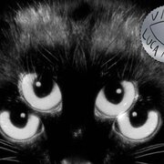 Luca Argel releases new album ‘Visita’