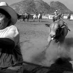 The Umbrella Missed You