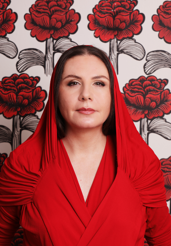 DANTCHEV:DOMAIN Logo