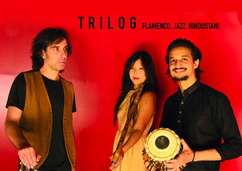 Melón Jimenez & Lara Wong Logo